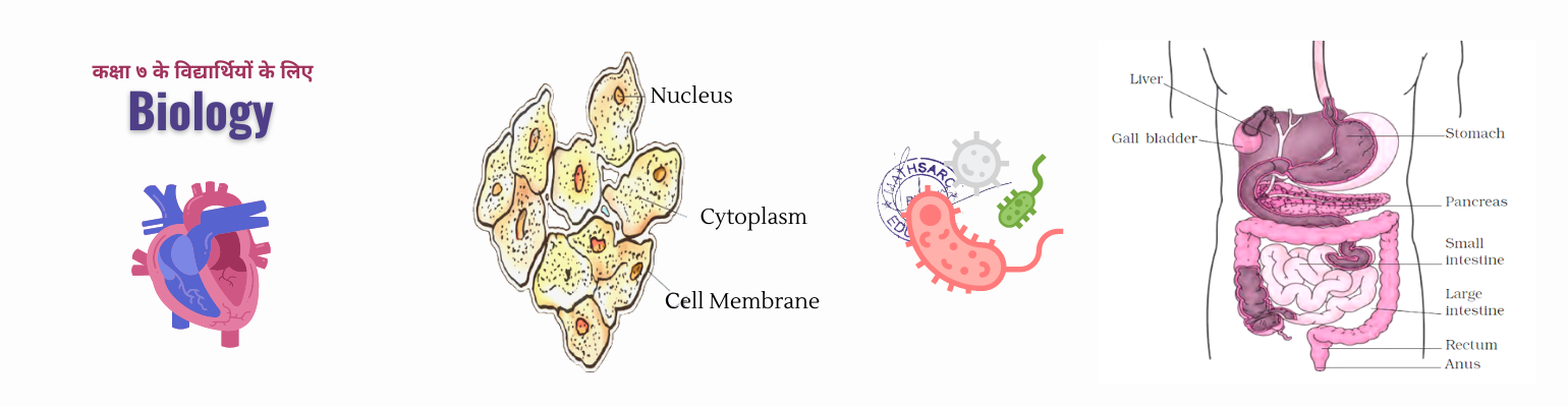 1FBAAB3Class 7 - Biology Banner.png | 